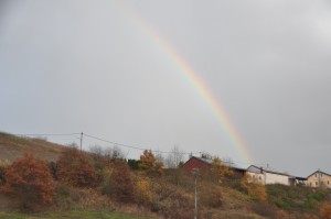 Ein Regenbogen als Zeichen einer besseren Zukunft ?